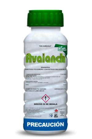 AVALANCH