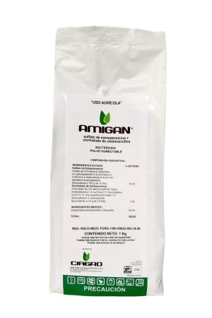 Amigan-foto