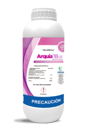 Arquia 18 CE