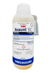 Avaunt EC