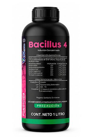 BACILLUS