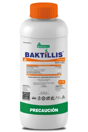 BAKTILLIS_BIOFUNGICIDA