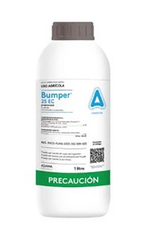 BUMPER-560x492_tcm43-11023_11zon