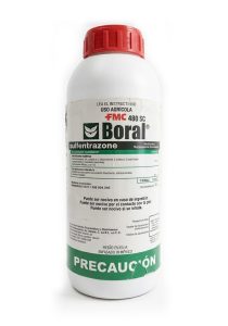 Boral