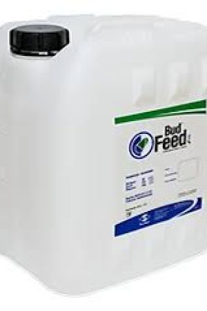 Bud feed stoller garrafa