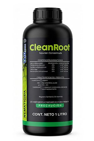CLEANROOT