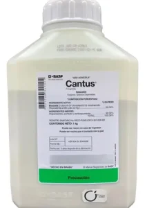 Cantus®
