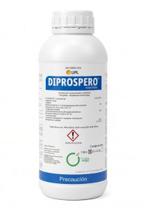 DIPROSPERO