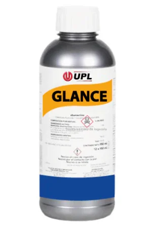 GLANCE_grande