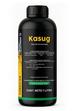 KASUG