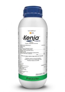 Kenja