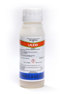 Laudis