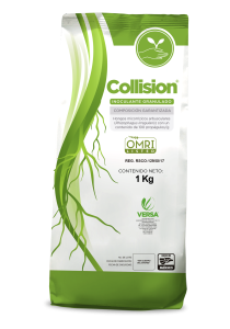 NEW-COLLISION