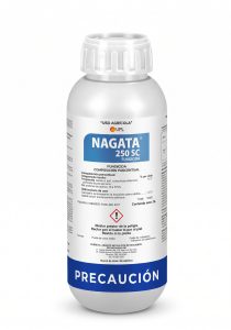 Nagata