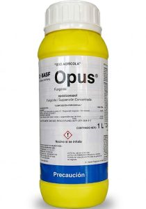 Opus basf