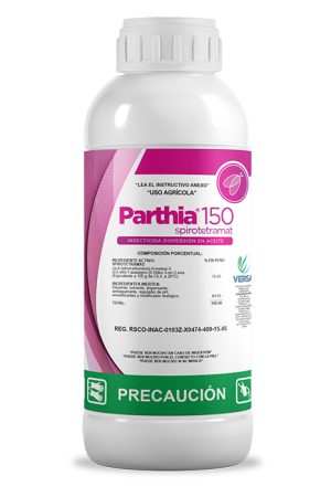 PARTHIA 150 900X900 PX