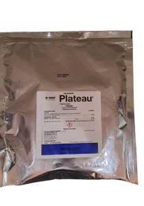 PLATEAU-NUEVA
