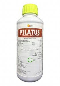 Pilatus