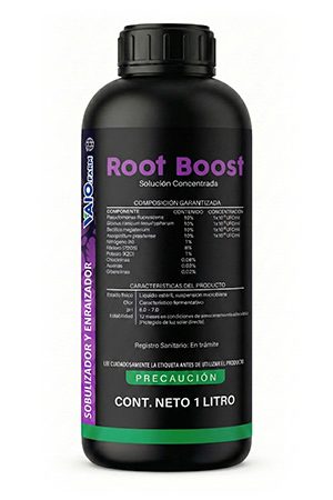 ROOT