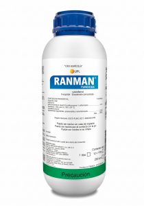 Ranman