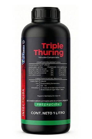 TRIPLE-THURING