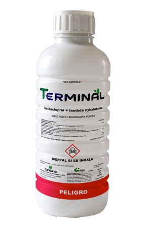 Terminal-fondo-blanco