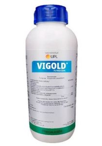VIGOLD®