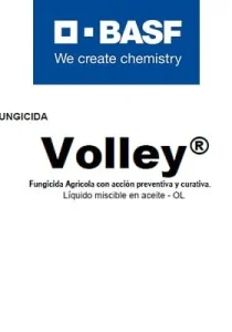 VOLLEY