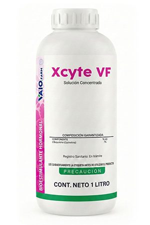 XCYTE-1