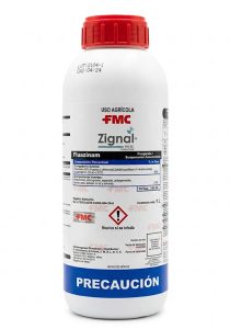 Zignal envase
