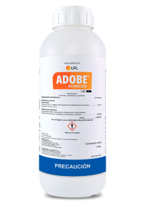 adobe