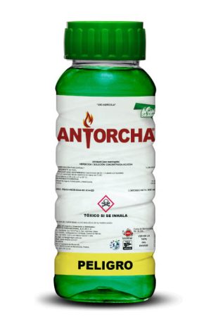 antorcha
