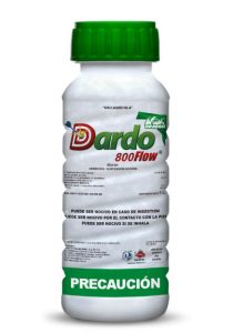 dardo