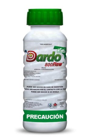 dardo