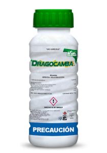 dragocamba