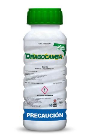 dragocamba