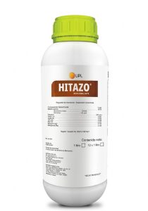 hitazo