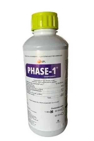 pHase-1-envase