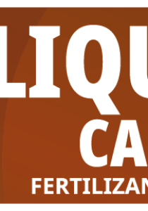 poliquel calcio