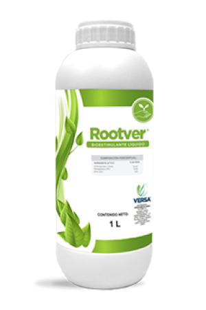 render2322Rootver