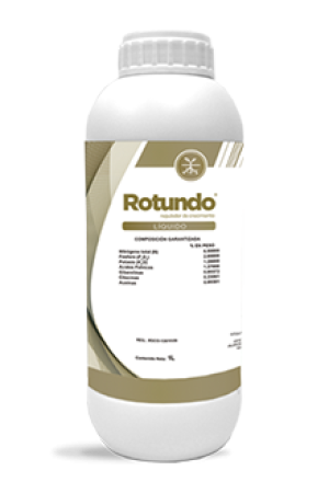 render2322rotundo