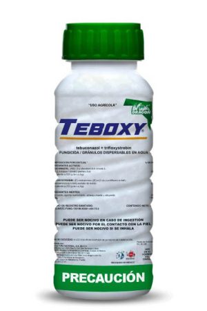 teboxy-botella
