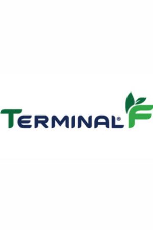 terminal f logo