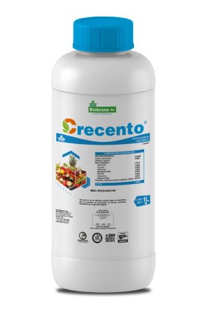 vista-previa-01-scaled