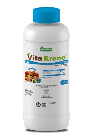 vista-previa-05-scaled