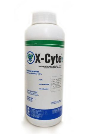 xcyte-768x768